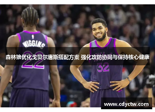 森林狼优化戈贝尔唐斯搭配方案 强化攻防协同与保持核心健康
