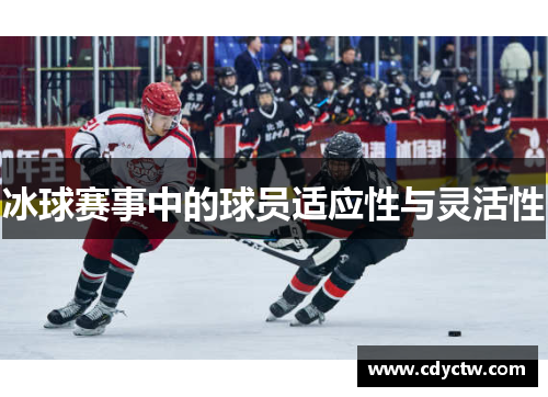 冰球赛事中的球员适应性与灵活性