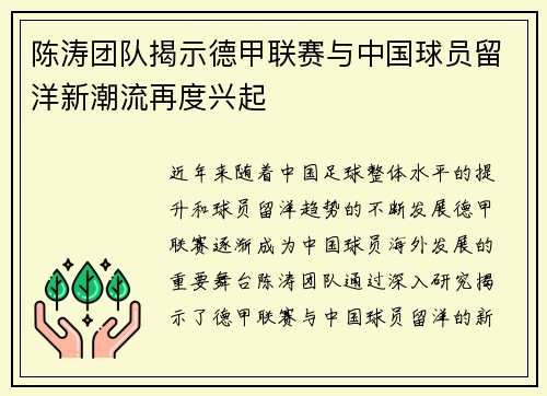 陈涛团队揭示德甲联赛与中国球员留洋新潮流再度兴起