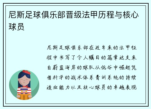 尼斯足球俱乐部晋级法甲历程与核心球员